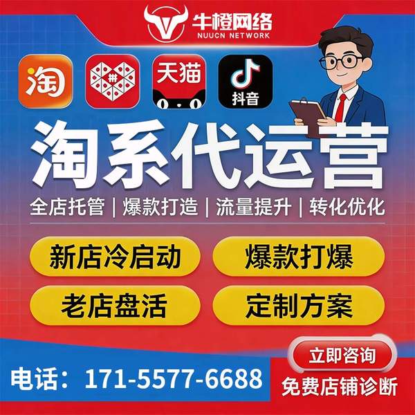 那曲电商代运营