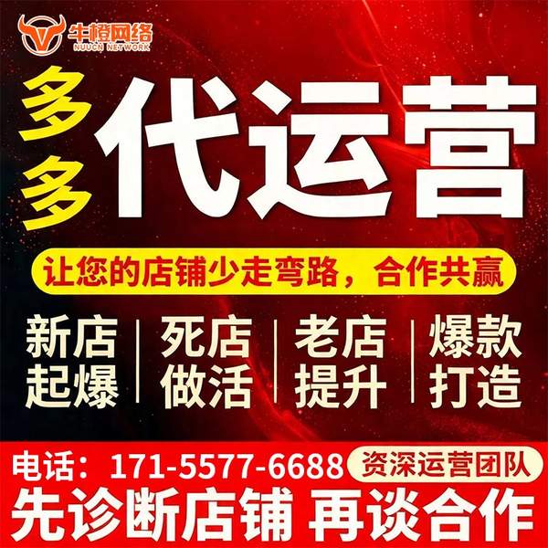 那曲电商代运营
