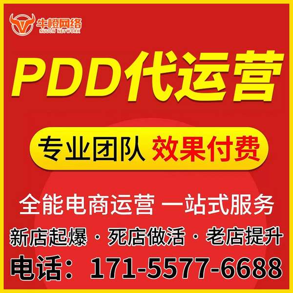 那曲电商代运营
