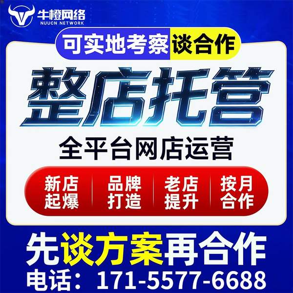 那曲电商代运营