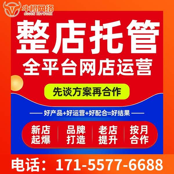 那曲电商代运营