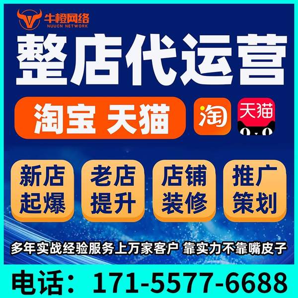 那曲电商代运营