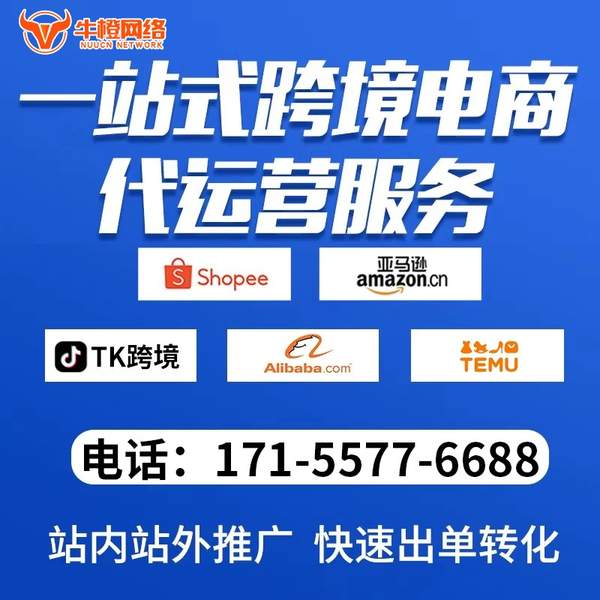 那曲电商代运营