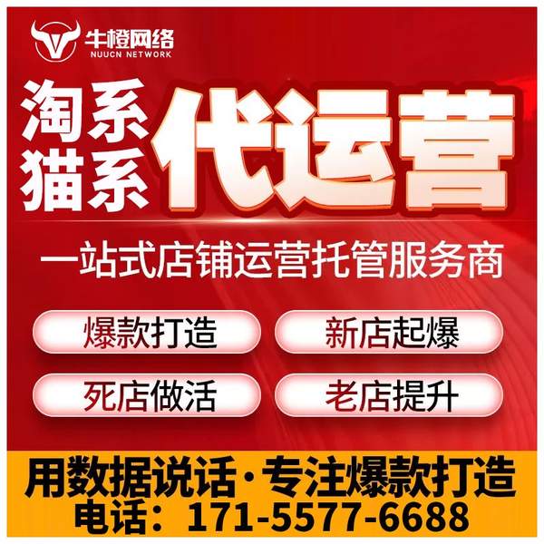 那曲电商代运营